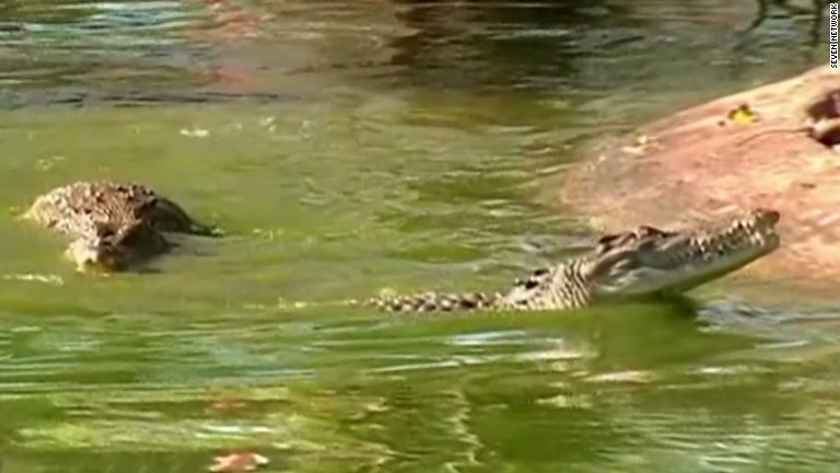 Human remains found inside a crocodile - CNN.com Video