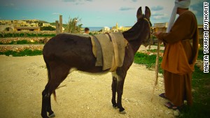 Malta's nativity experience includes grazing live animals. 