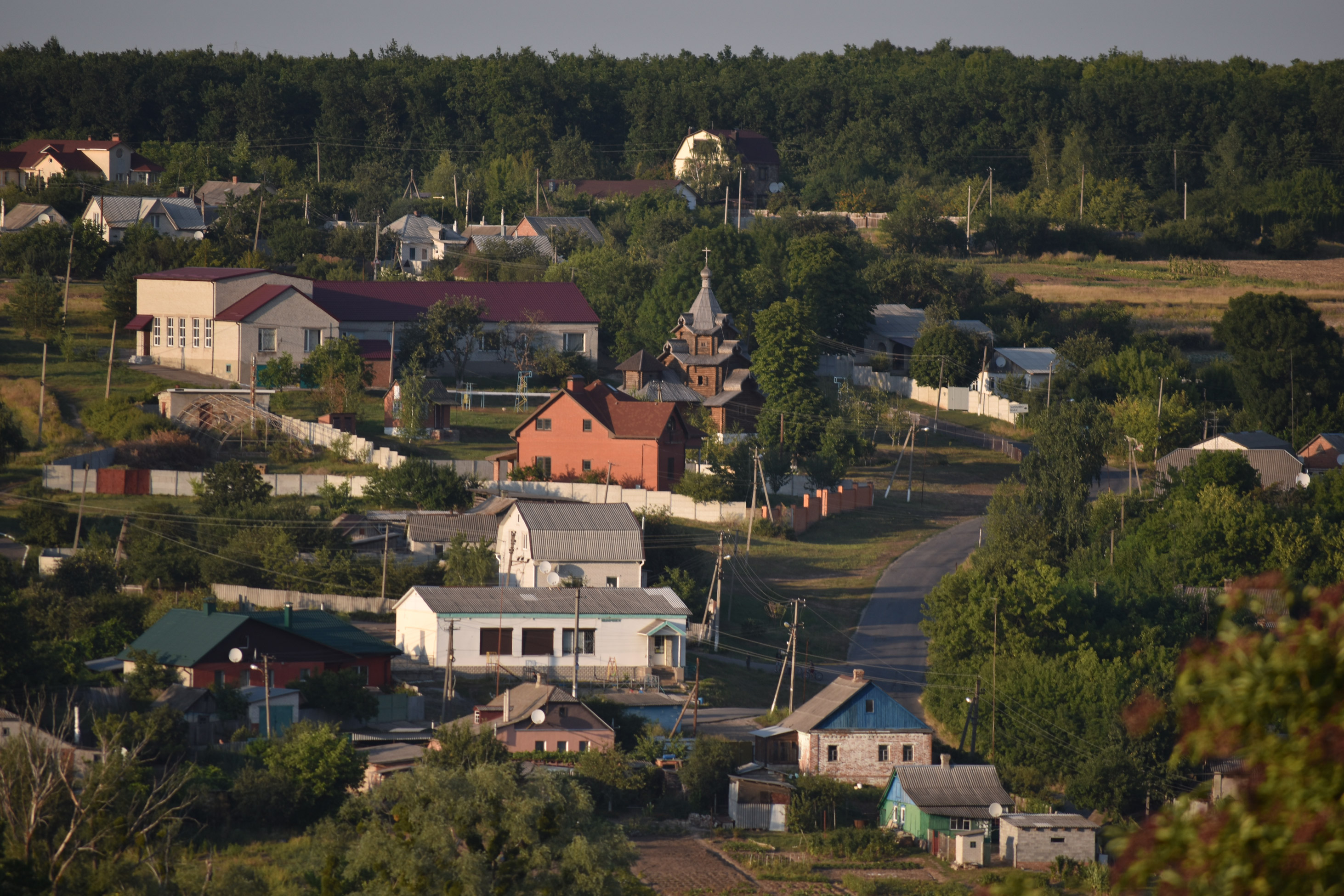 Many small houses of different types among trees and grass