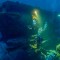 Diver Fabien Cousteau s 31 day underwater Truman Show Diver Fabien Cousteau s 31 day underwater Truman Show