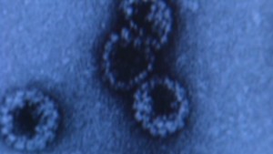 WHO urges cancer prevention