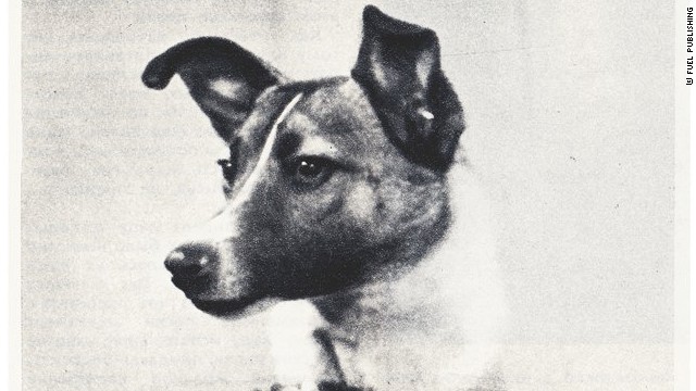 The amazing true story of Soviet astronaut dogs - CNN.com