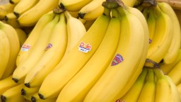 Bananas? Not just for eating