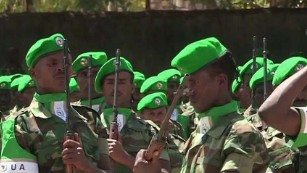 Ethiopia seeks leadership role in fight with al-Shabaab