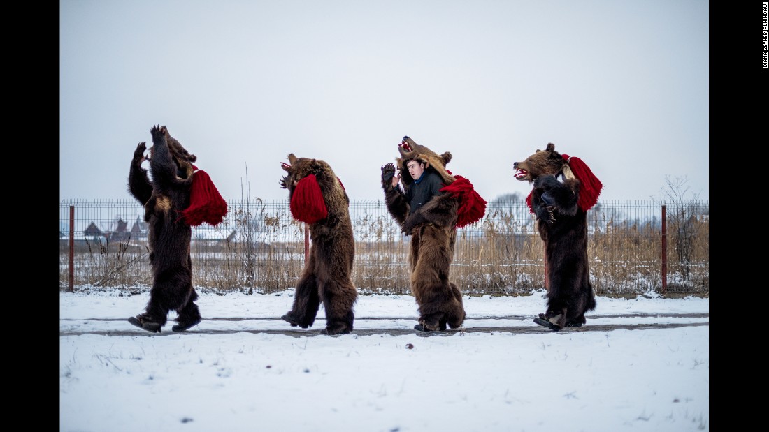 The bear dancing has its roots in an old forest Gypsy practice of bringing bears to towns. Residents would pay the Gypsies, also known as Roma, to let bear cubs walk on their backs to cure backaches. 