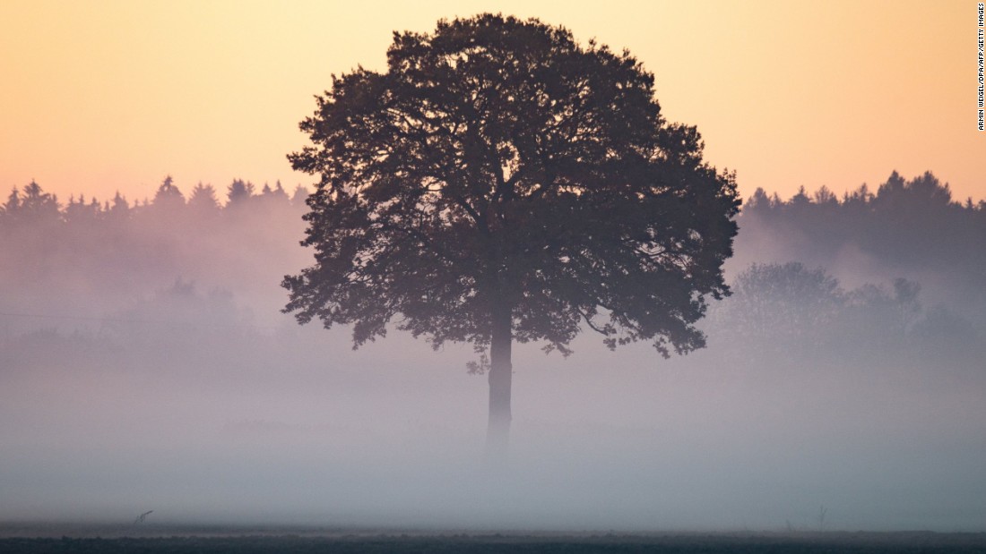 Foggy vision: 14 photos of Europe shrouded in mist