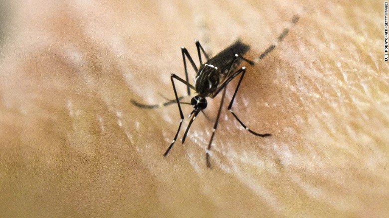 The Seriousness Of The Zika Virus