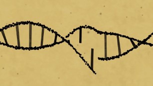 What is CRISPR Cas9 gene editing?