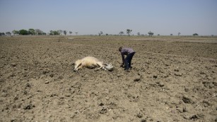 India&#39;s drought crisis.