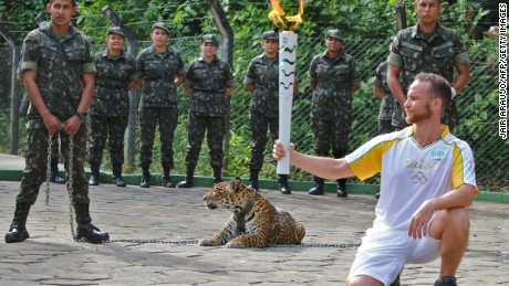 Jaguar killed during Olympic event