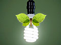 Cashing in on green energy