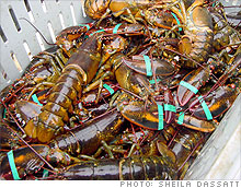 lobsters.03.jpg