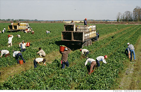 migrant_workers_ji.top.jpg