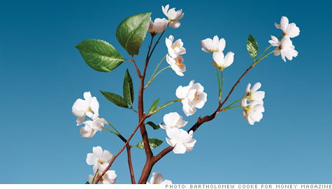 spring_landscaping.top.jpg