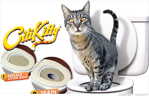 Cat-toilet-training kit CitiKitty could bring the end of stinky litter boxes.