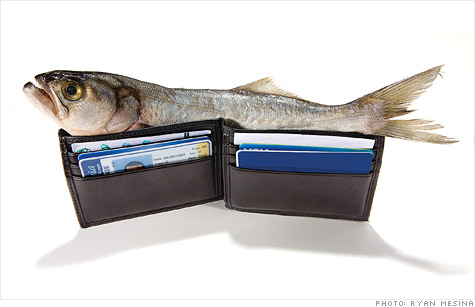 fish-in-wallet.top.jpg