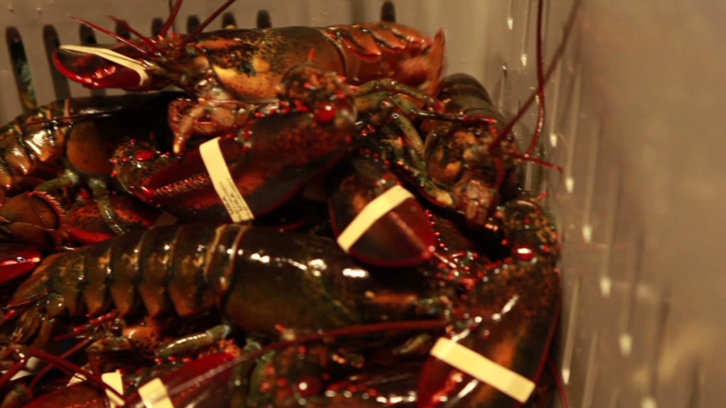 Why lobster is so cheap