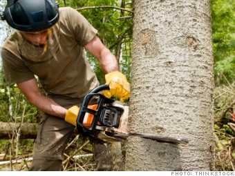 loggers, dangerous jobs