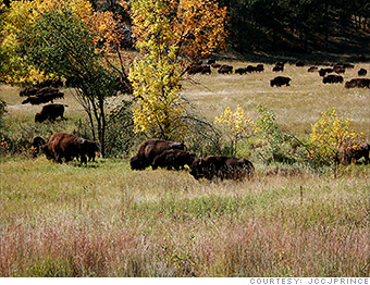 gallery best places to drive black hills