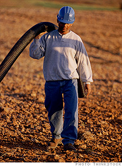 Petroleum Geologist