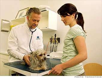 Veterinarian