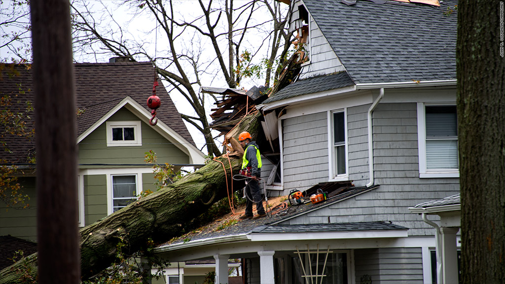 hurricane sandy tree house new jersey jc