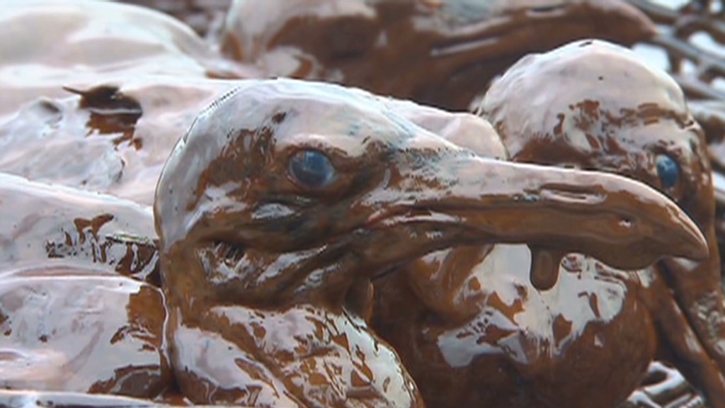 Flashback: 5 years ago, the BP oil spill