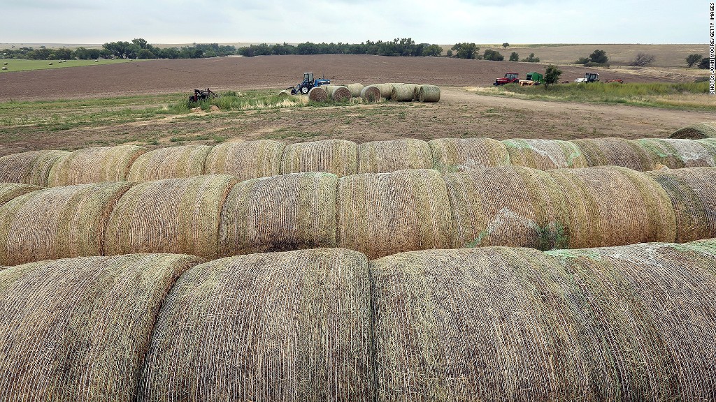 onafhankelijke boerderijen