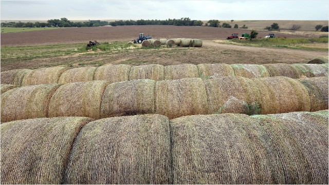 how much money can you make of hay per month