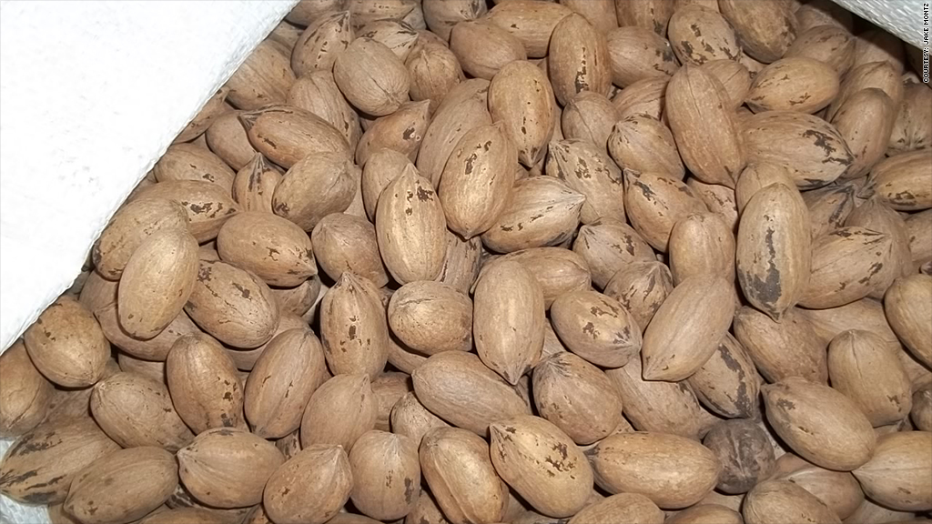 montz pecans