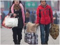 Scenes from China's annual migration