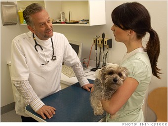 crazy deductions medical bill pets