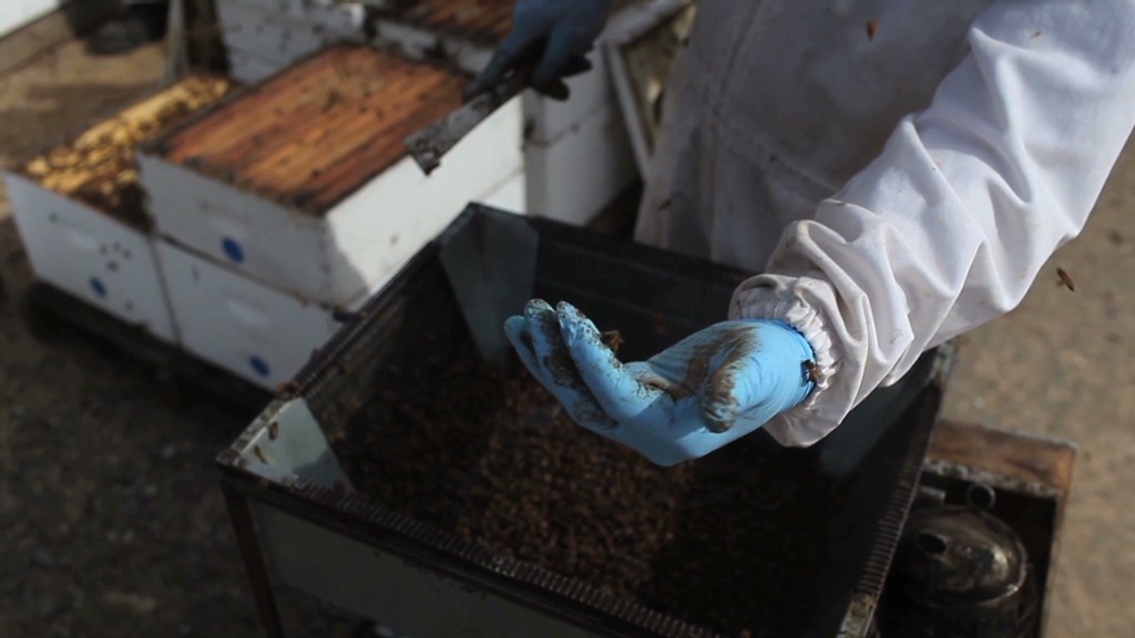 The $3 billion industry powered by bees
