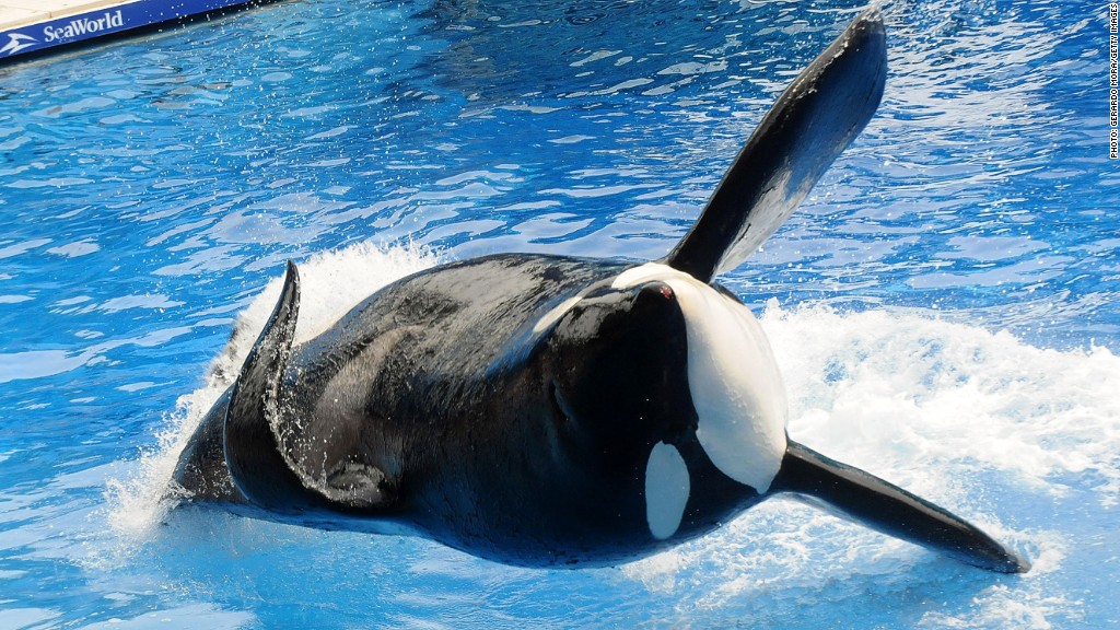 seaworld versus peta