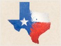 Even small business is bigger in Texas