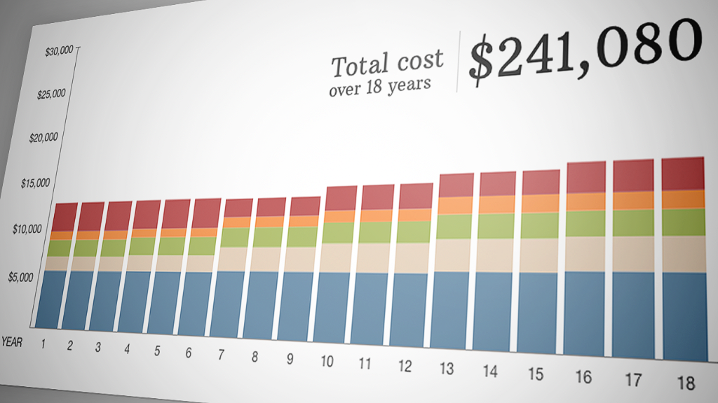 cost of raising kids 