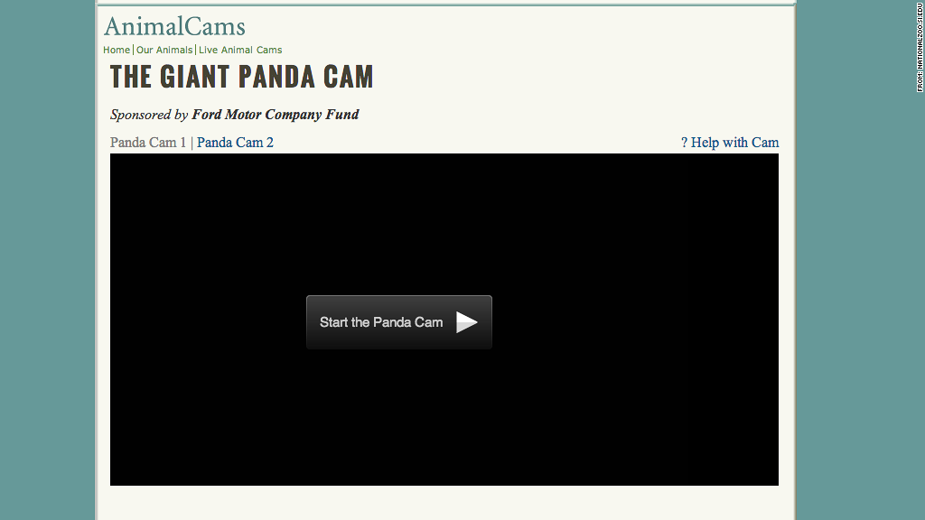 dark panda cam shutdown