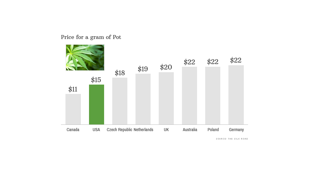 gram price of pot