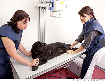 minimum wage jobs veterinary tech