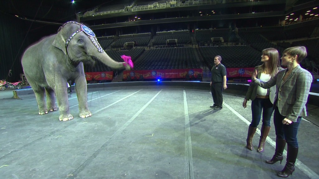 How to keep a 150-year old circus running