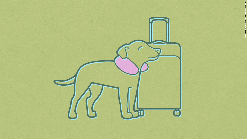 tax deductions pet airline tickets 