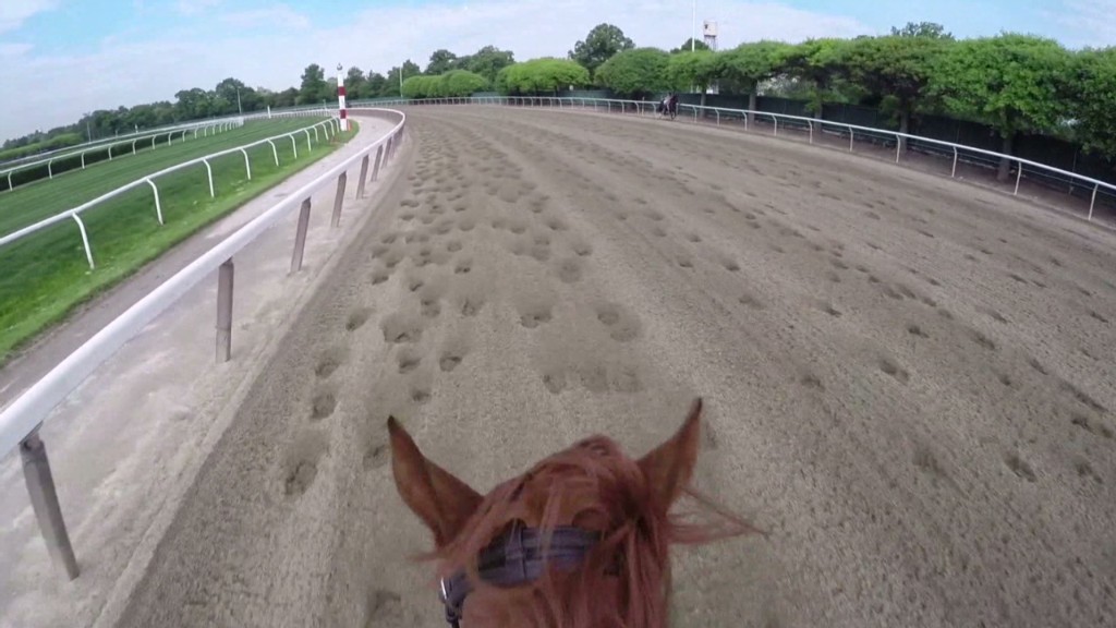 Ride Belmont like California Chrome