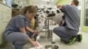 veterinary technicians stressful jobs labor of love_00000903