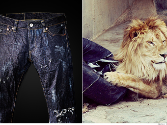 tiger jeans price