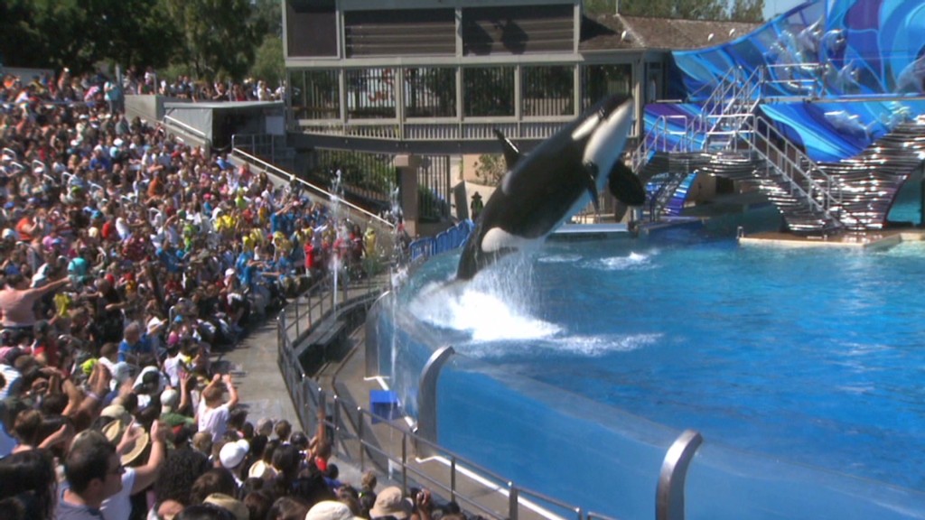 SeaWorld stock takes a deep dive