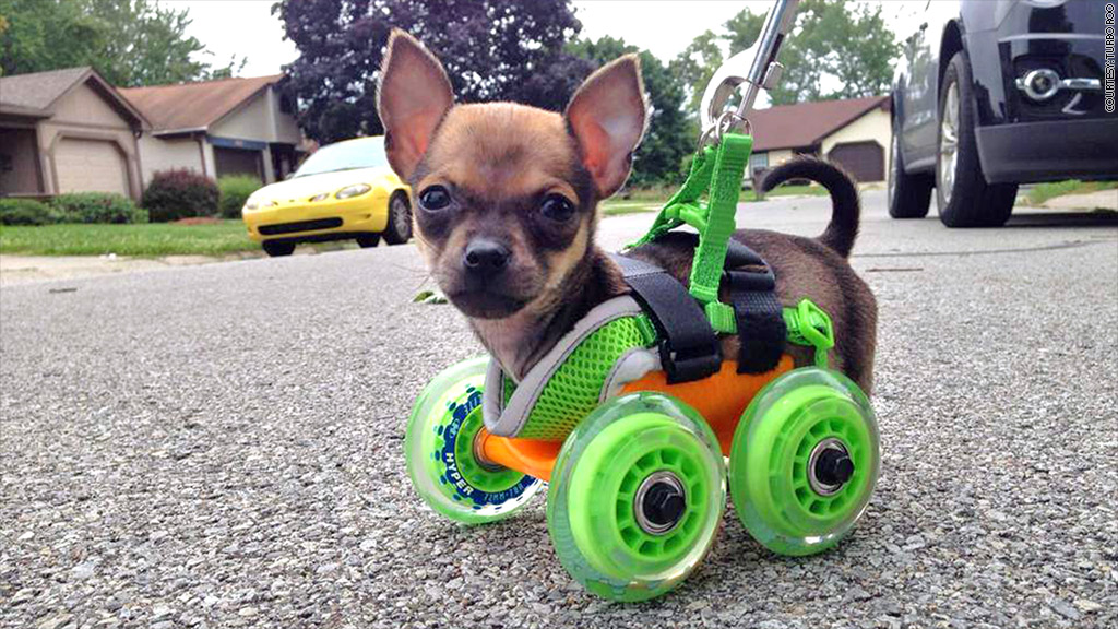 3d printed puppy wheelchair