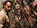 AMC chief executive: 'Zombies are thriving'