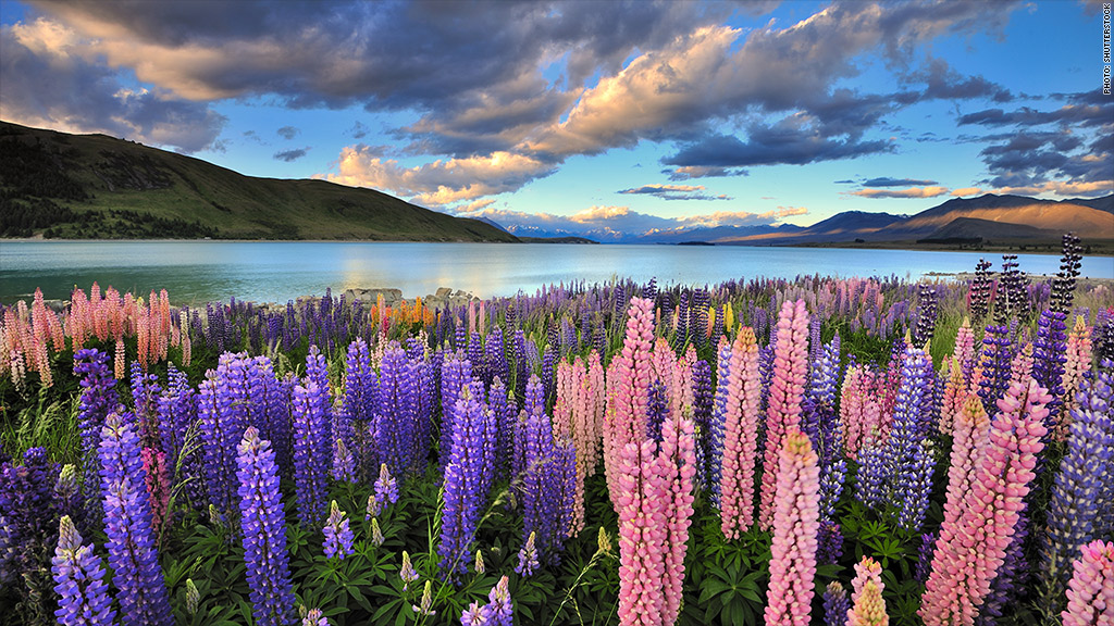 winter vacation destinations new zealand