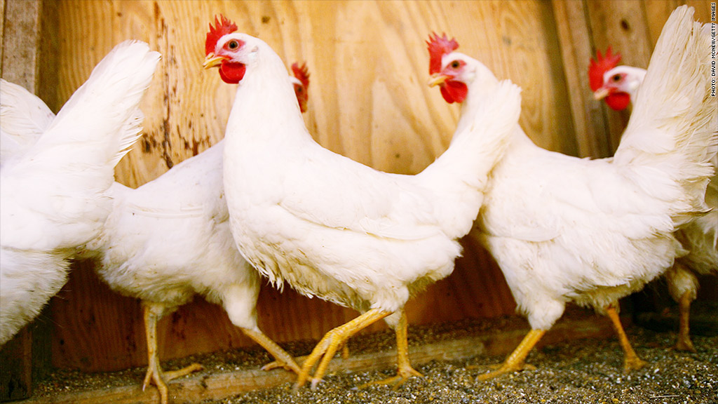 US approves Chinese chicken exports to Americasort of