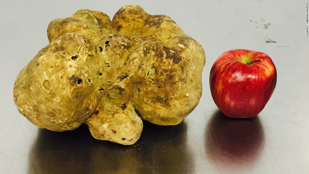 whitetruffle_record_apple